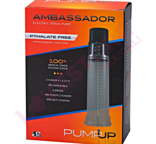 The Ambassador Pump