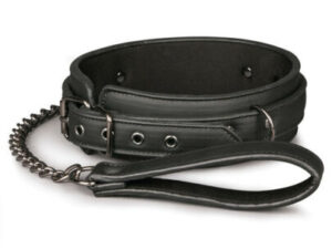 FAUX LEATHER COLLAR & LEAD SET