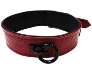 Leather Burgundy Anaconda Collar