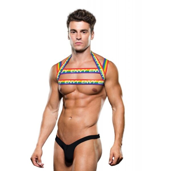 RAINBOW HARNESS – M/L