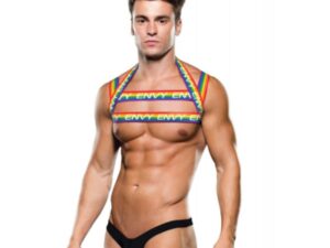 RAINBOW HARNESS - M/L