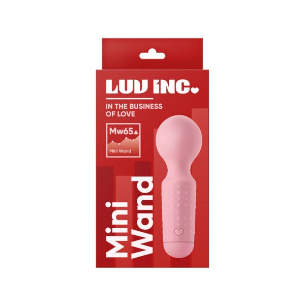 Mini Wand LL-7201-01 Pink