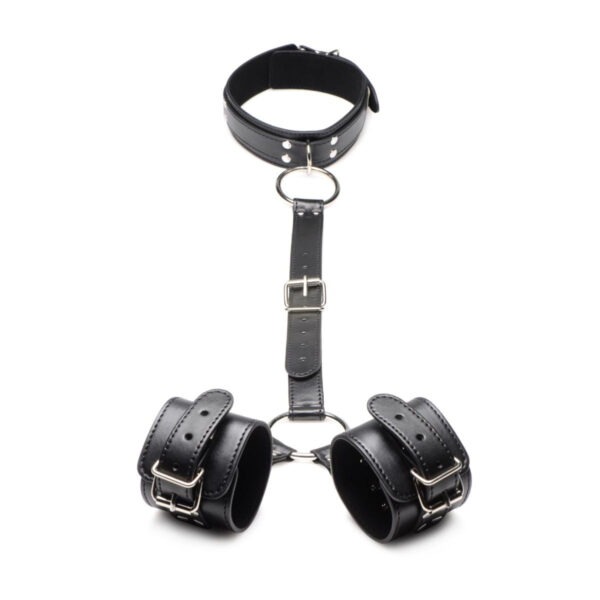 ST Neck to Wrist Restraints