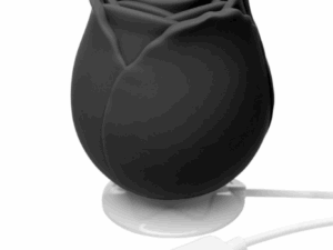 Pure Envy Petal Pleasure Rose Black